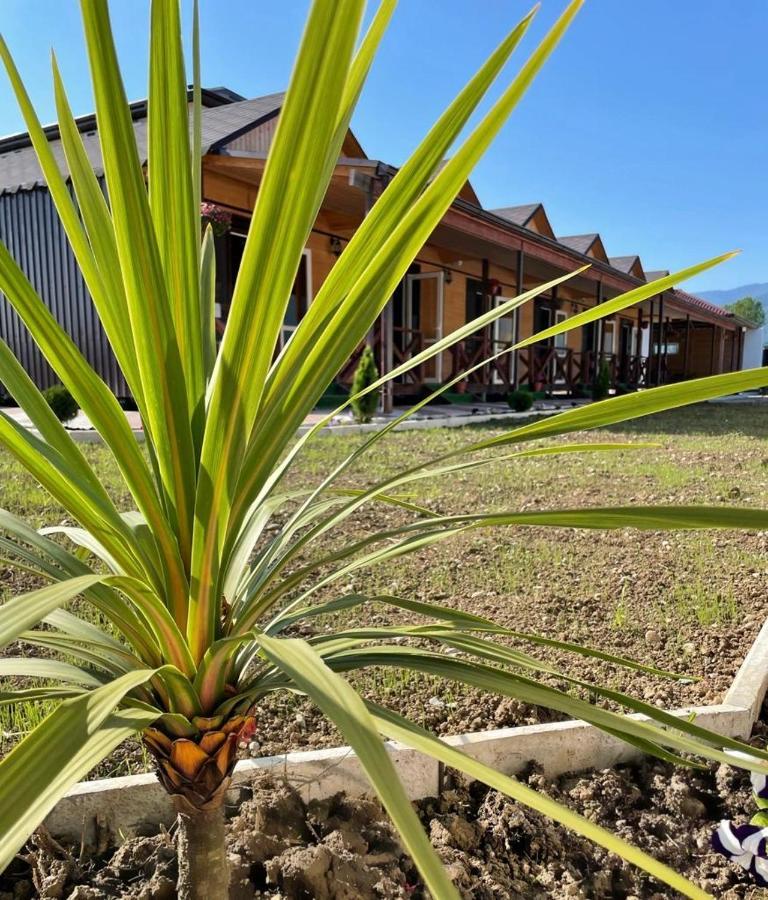 Alakhadze Hotel Askar المظهر الخارجي الصورة